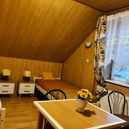 Mieszkanie Na Wylacznosc Do 10 Osob Ogrod & Grill *