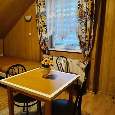 Mieszkanie Na Wylacznosc Do 10 Osob Ogrod & Grill Apartment *