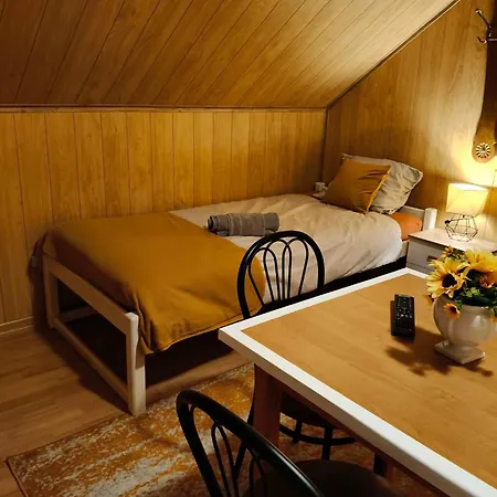 Apartment Mieszkanie Na Wylacznosc Do 10 Osob Ogrod & Grill